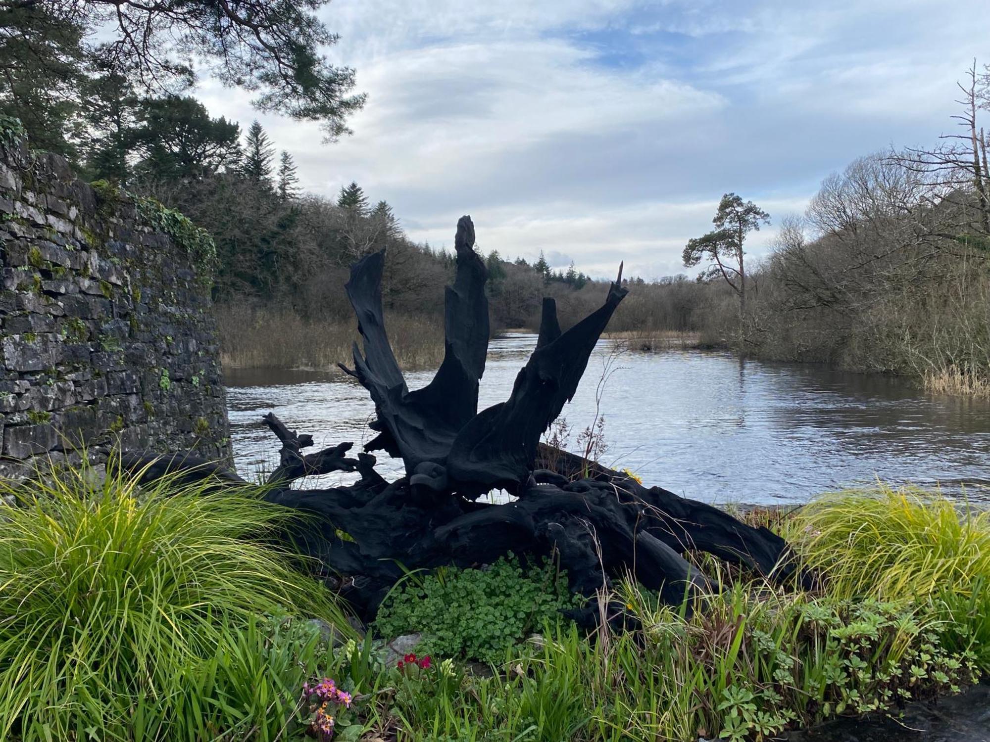 Salmon Weir Lodge Cong Exterior foto