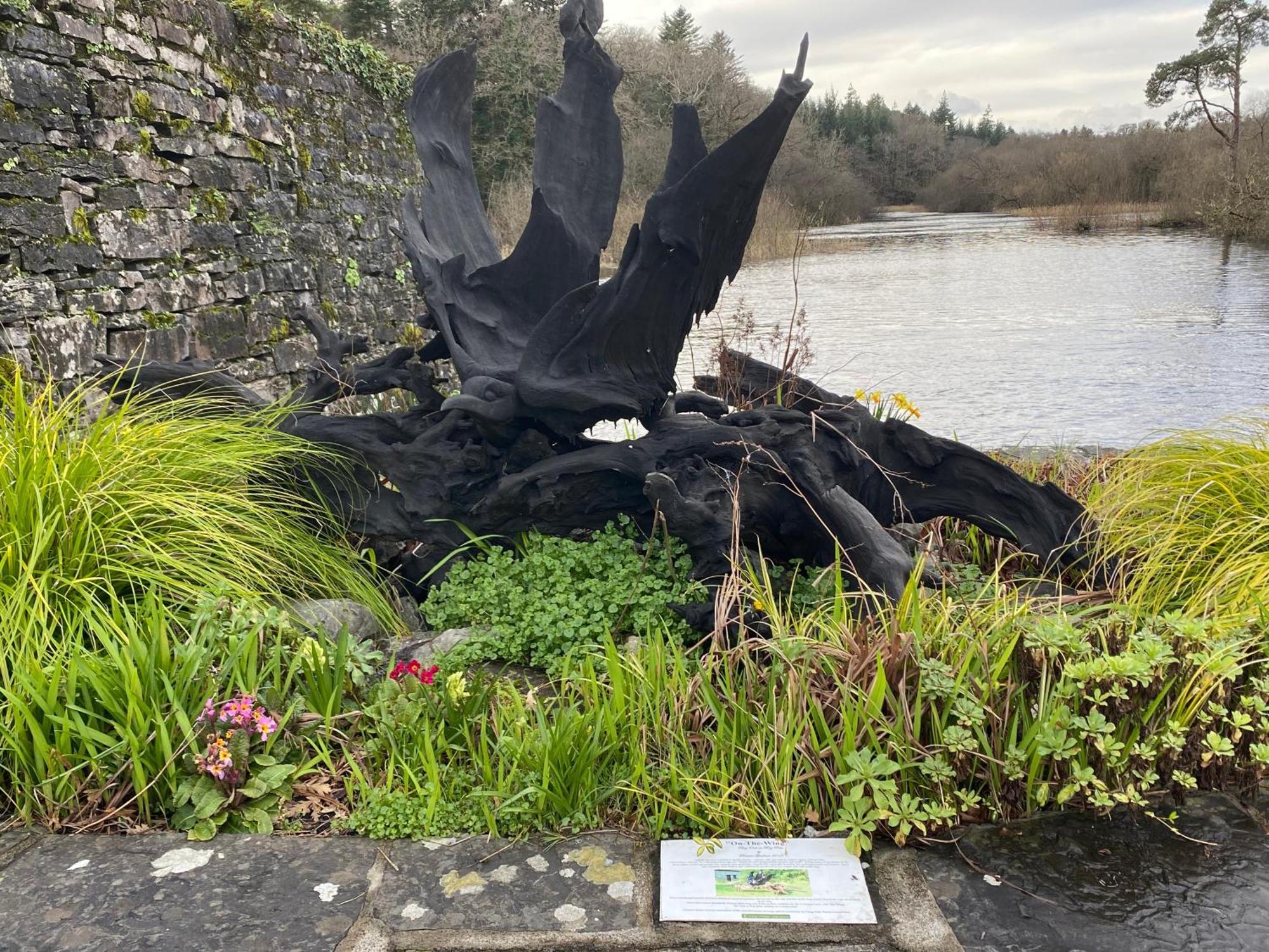 Salmon Weir Lodge Cong Exterior foto